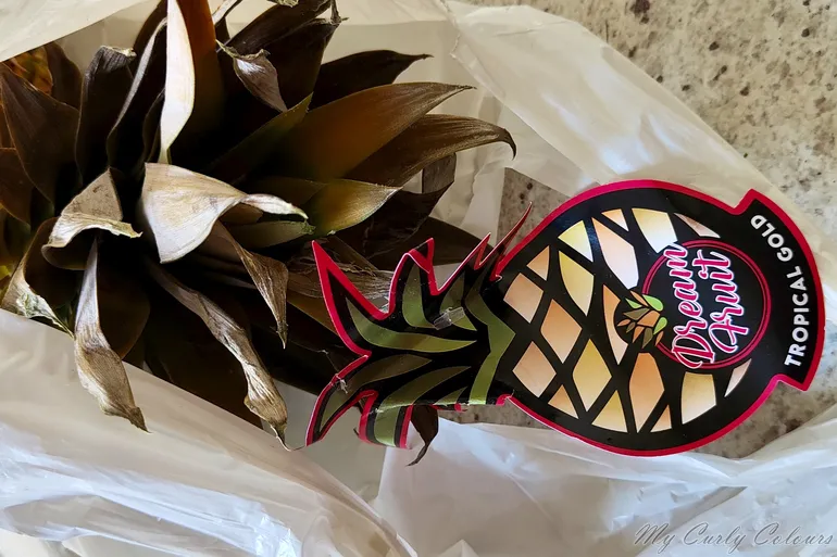 Surprise Bag Too Good To Go con ananas Dream Fruit